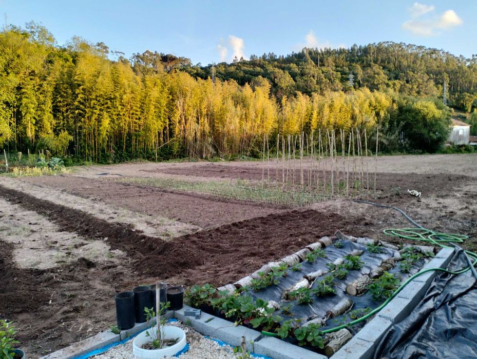 Terreno rústico próximo da cidade