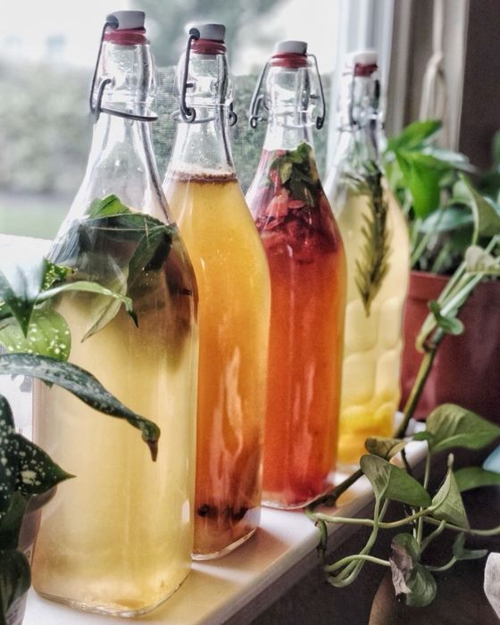 Domowa kombucha “ScobyDoo” Naturalny napój fermentowany
