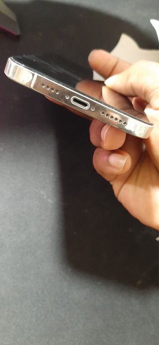 iPhone 12 pro max