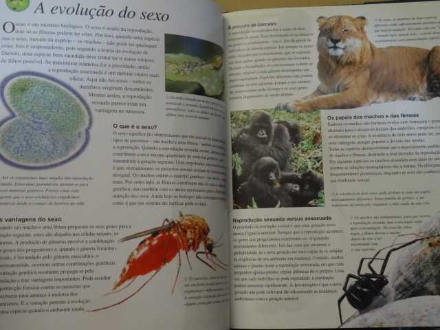 O Grande Livro da Evolução de Stephen Webster