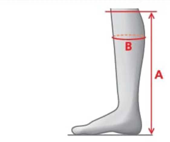 Equestre Cavaleiro Taylor Made.