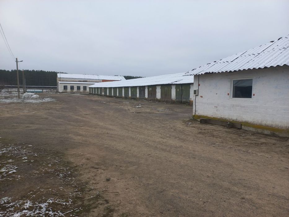 Комплекс з 6 госпорадських будівель с.Незабудка