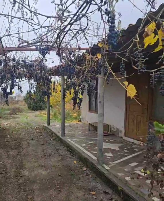 Продаю дом у Парутине