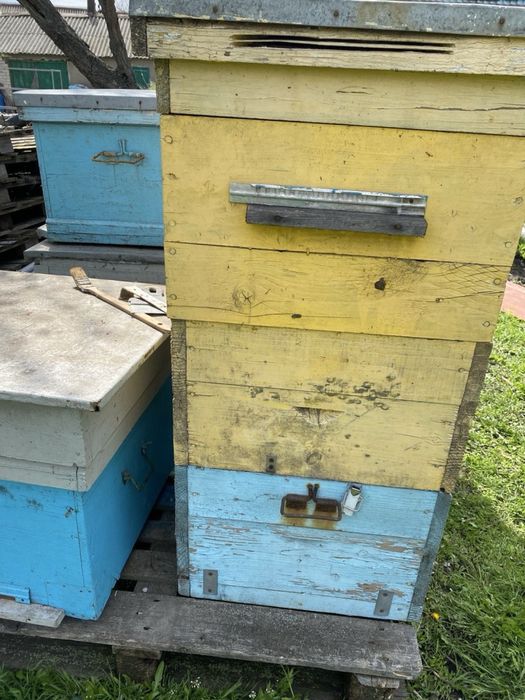 Продам вулики дадани 12 рамок