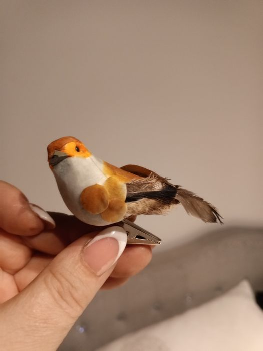 Ptaszek  w piórkach na klamerce