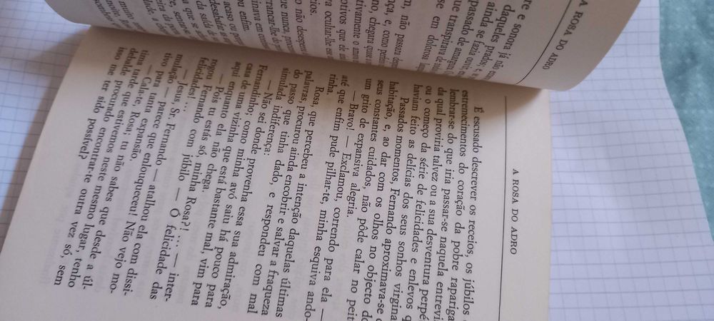 Livro "A Rosa do Adro" de Manuel M. Rodrigues
