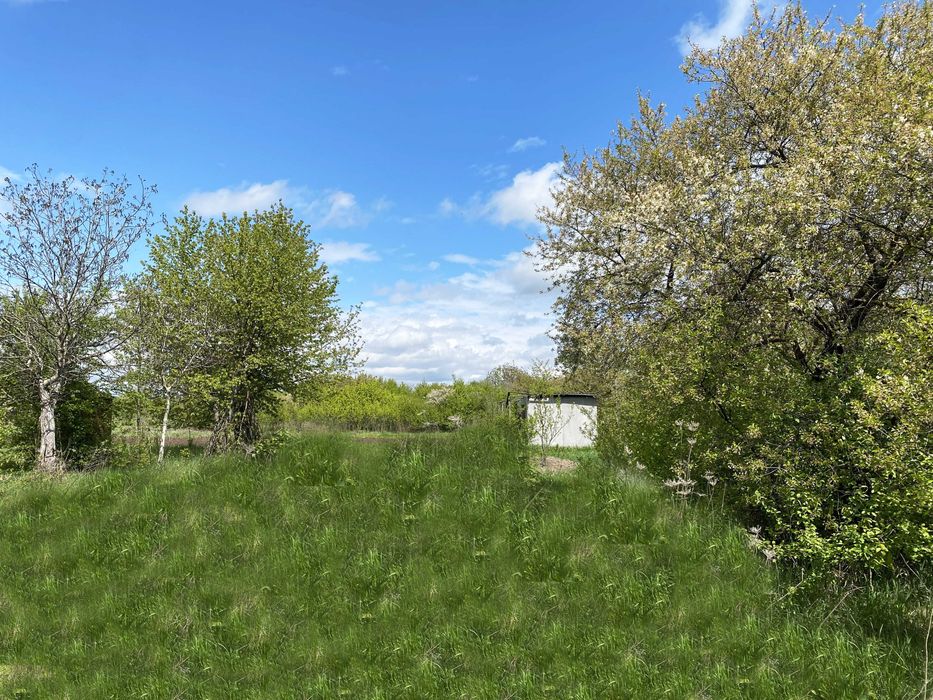 Продам ДАЧНУ ділянку в СТ "Цементник" в Ямниці (60)