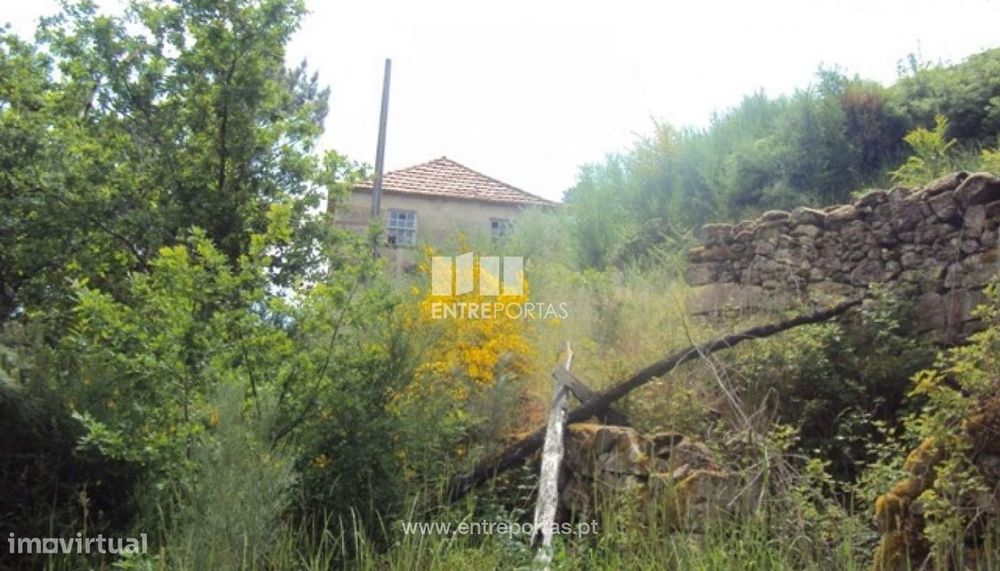 Venda Terreno, Tendais, Cinfães — Parada De Ester E Ester, Viseu