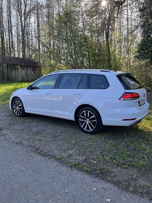 Volkswagen Golf VW Golf VII 1.6 TDI 116KM • 2017 • 121 tys.km • SOUND • Bezwypadkowy