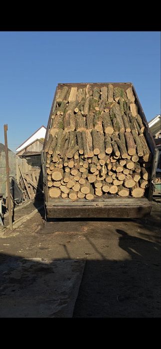 Доставка дров . Дрова  метрові.Порода Бук Доставка  Ужгород та район .