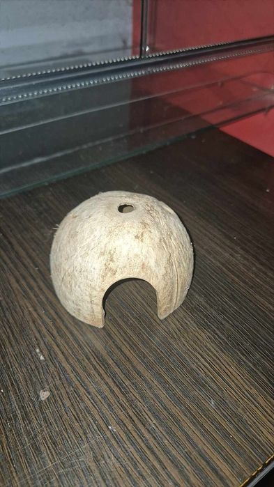 Terrarium z rzeczami