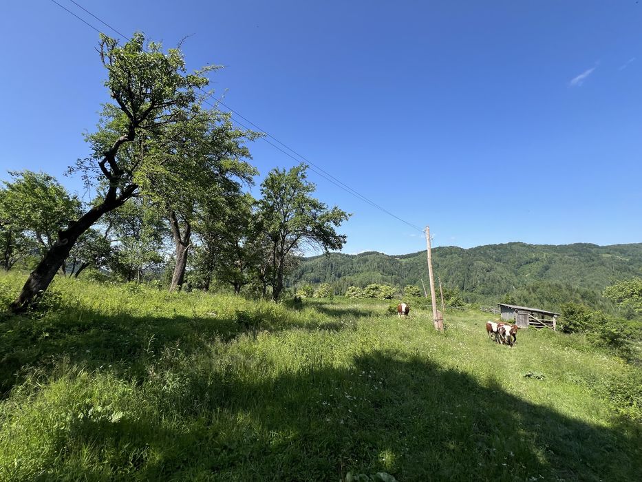 Продам ділянку в горах з гарним краєвидом