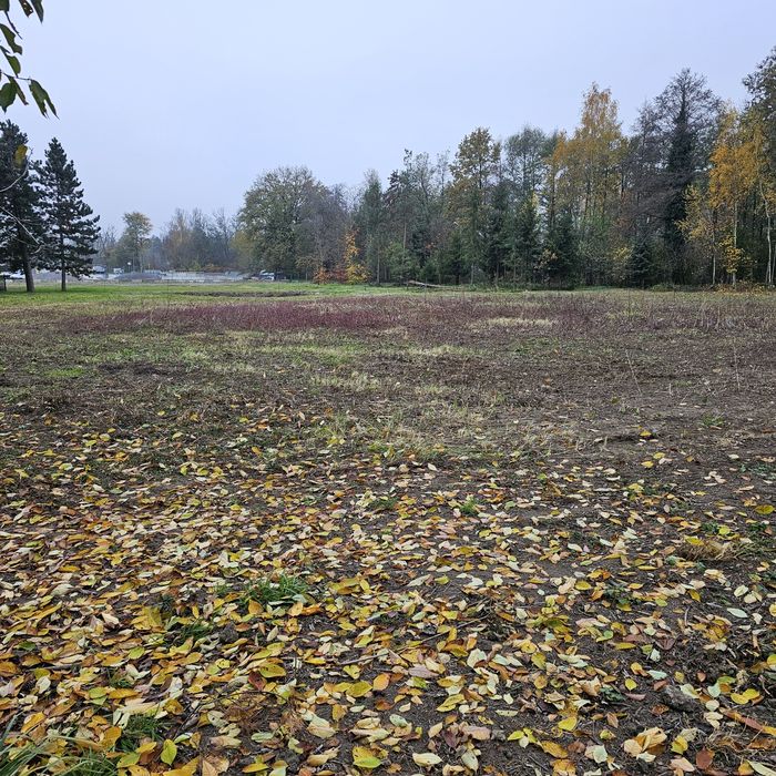 Teren inwestycyjny 1.1 ha, lub 2.2 ha - View 2