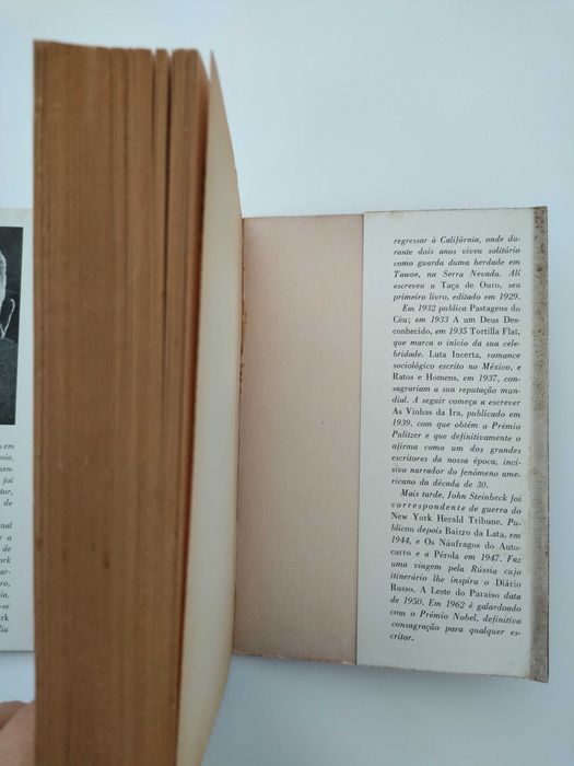 Os náufragos do autocarro (John Steinbeck)