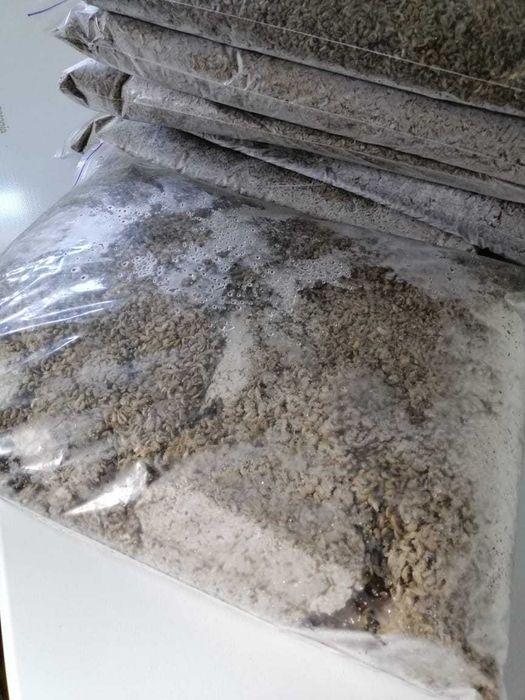 Мороженный Гаммарус