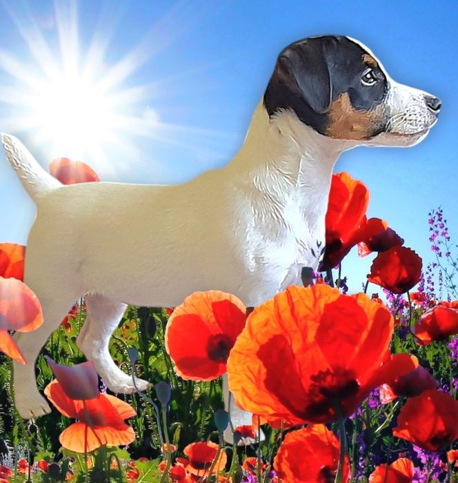 Клубні   малюки.