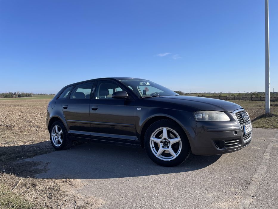 Audi A3 8P Sportback 1.9 tdi 105Km