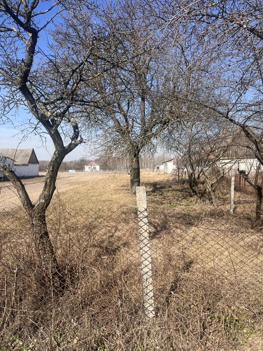 Земельна ділянка в с. Дубовець з призначенням під будівництво