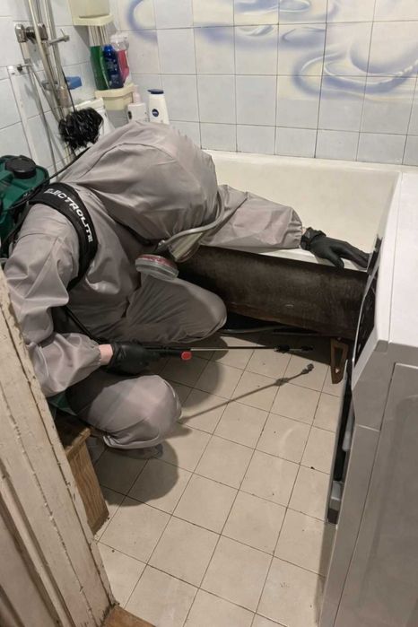 Уничтожение тараканов клопов блох клещей Киев срочно
