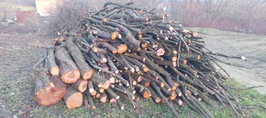 Продам дрова фруктових дерев.