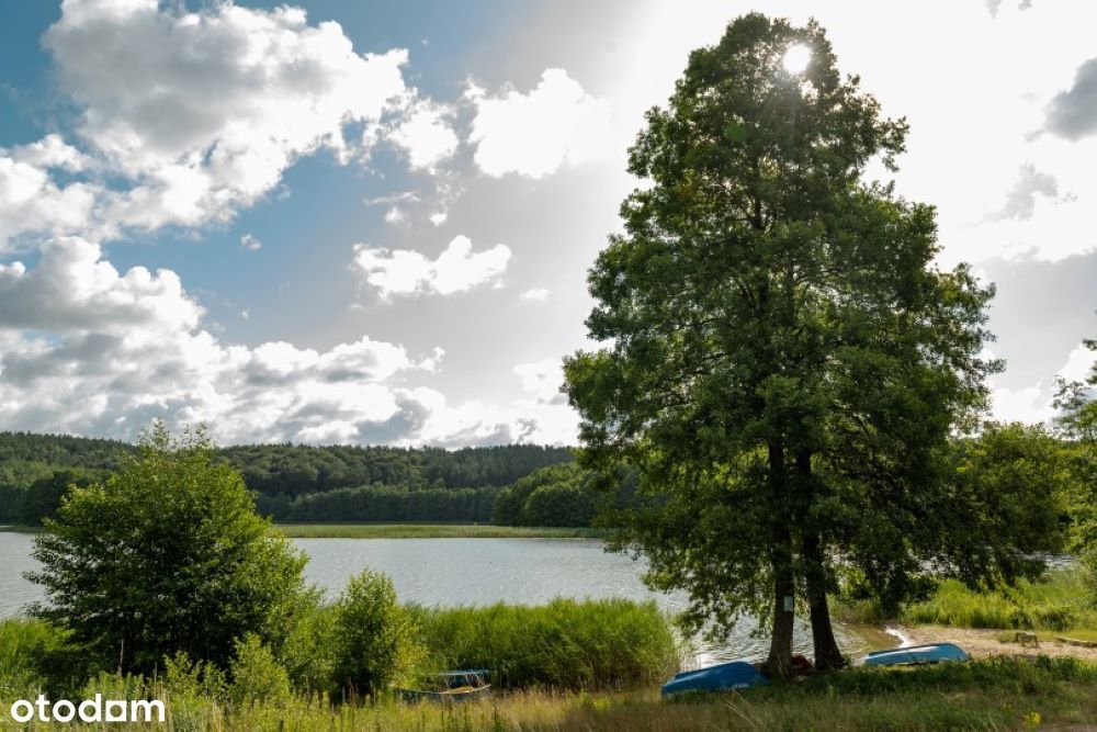 Dom , Warmia, Działka, Jezioro, Las, Gietrzwałd