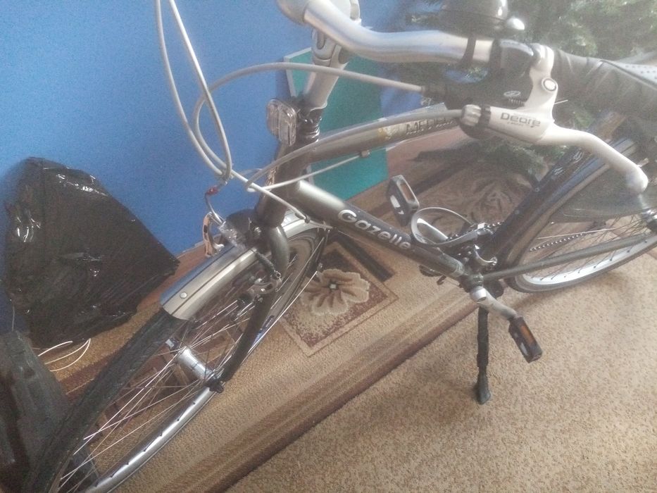 Rower męski gazelle medeo