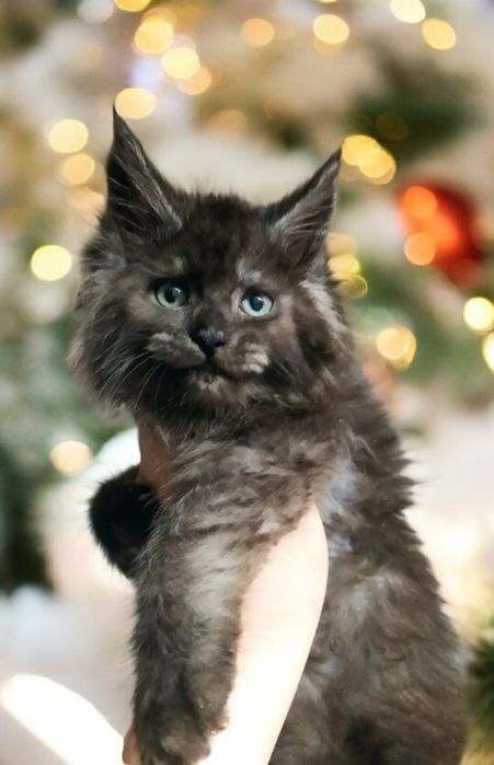 Мальчишки черный дым