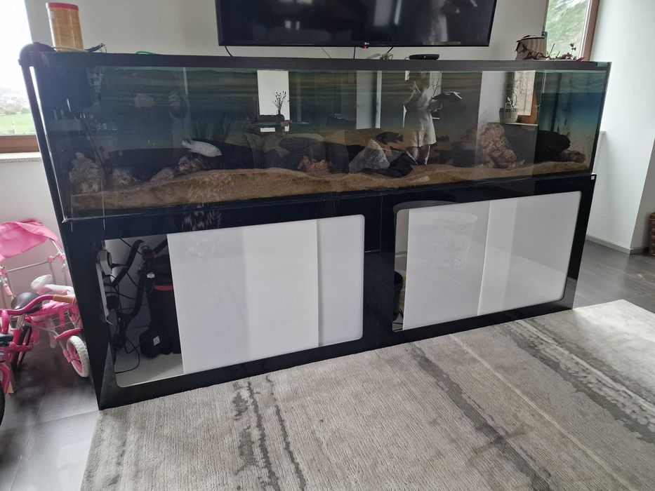 Aquario 2500mm completo