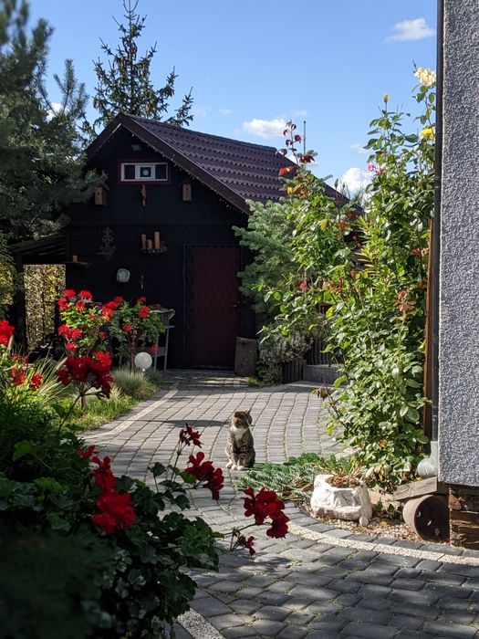 Dom nad jeziorem 70km od Poznania