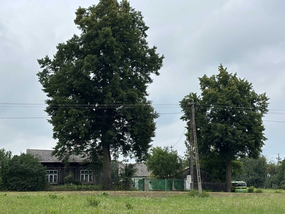 Sprzedam siedlisko 1,2 ha w okolicach Płocka