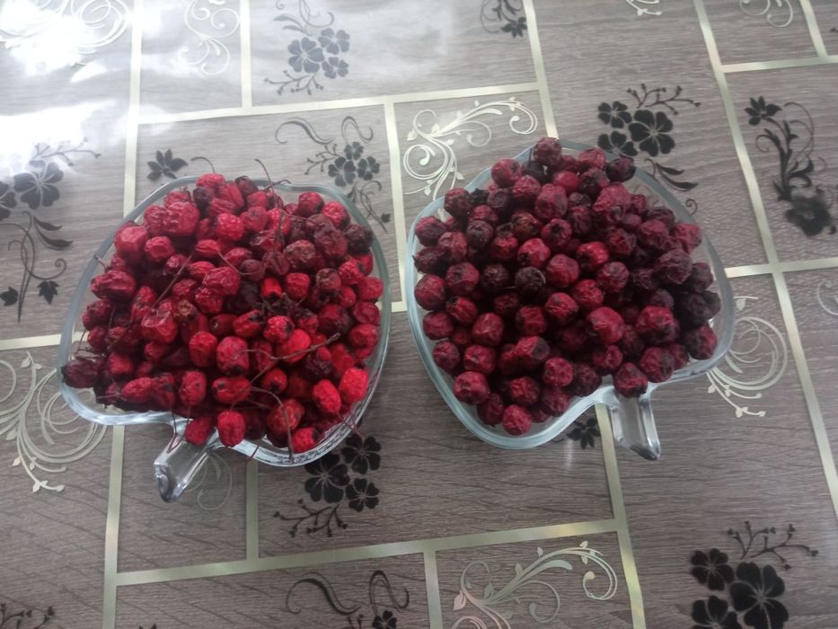 Глід сушений 2025 рік ( Бояришник)