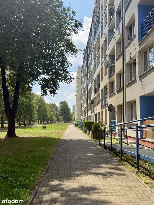 2 pokoje|46,30m²|Centrum|Do wprowadzenia