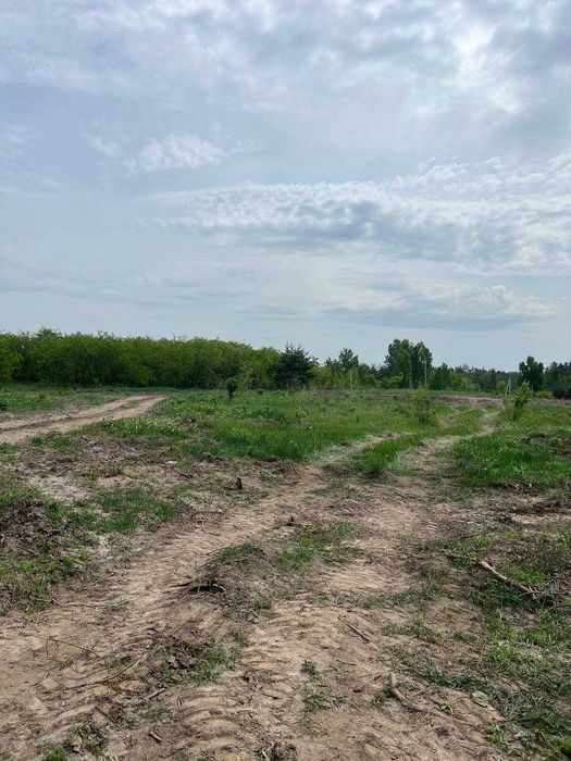 Краєвид, ліс і тиша. Ділянки під забудову