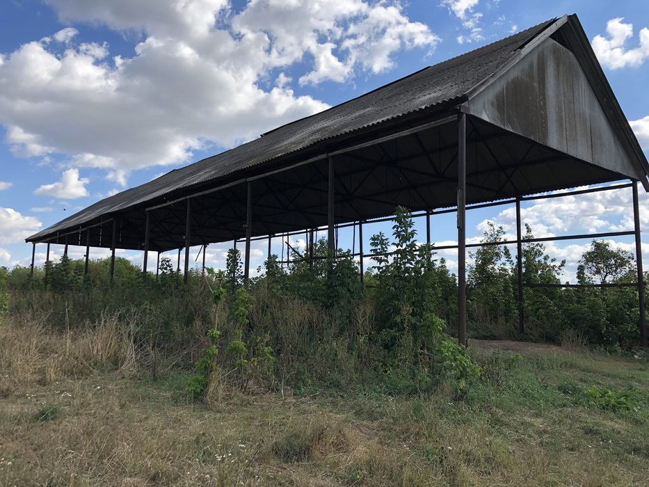 Ангар, зерносклад, склад, навіс