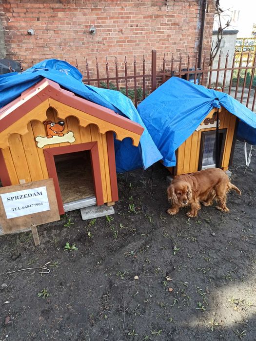Sprzedam budy dla psa