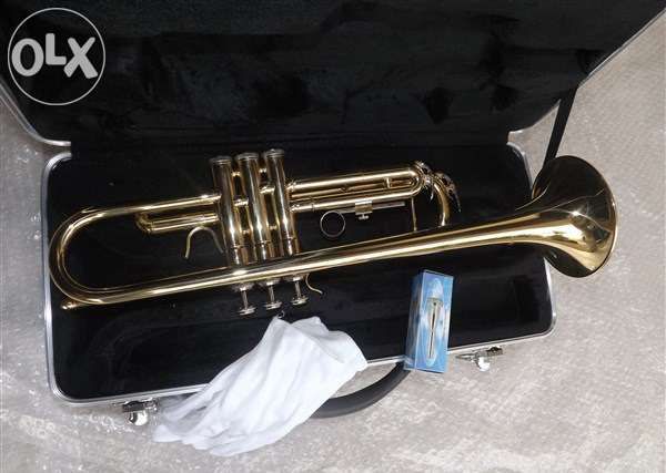 Trompete dourado novo