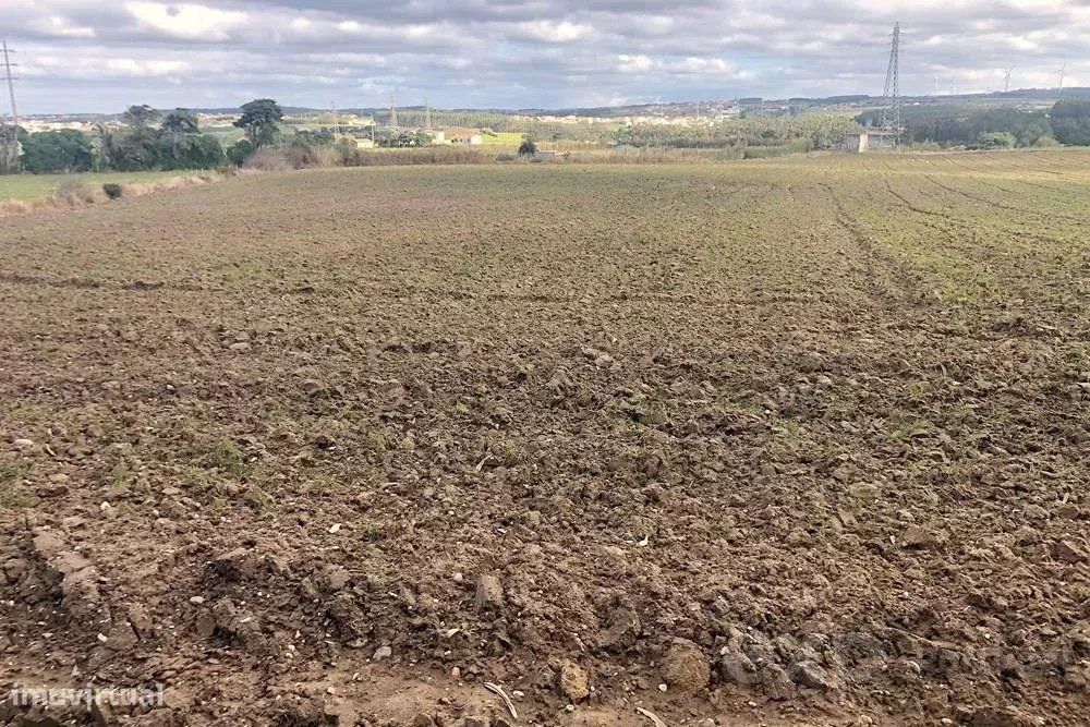 Terreno Rústico de 14.000 m² na Vila de Atouguia da Baleia — Atouguia da Baleia, Leiria
