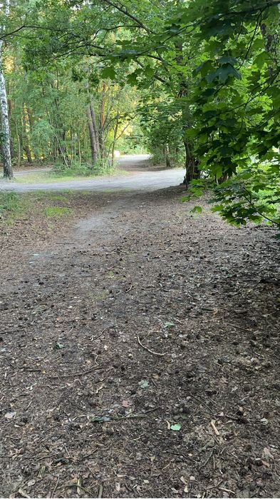 Okazja Sprzedam tanio działkę Warszawa Wawer 1531 m² lasu obok Centrum Zdrowia Dziecka Międzylesie Wesoła blisko - Widok 6