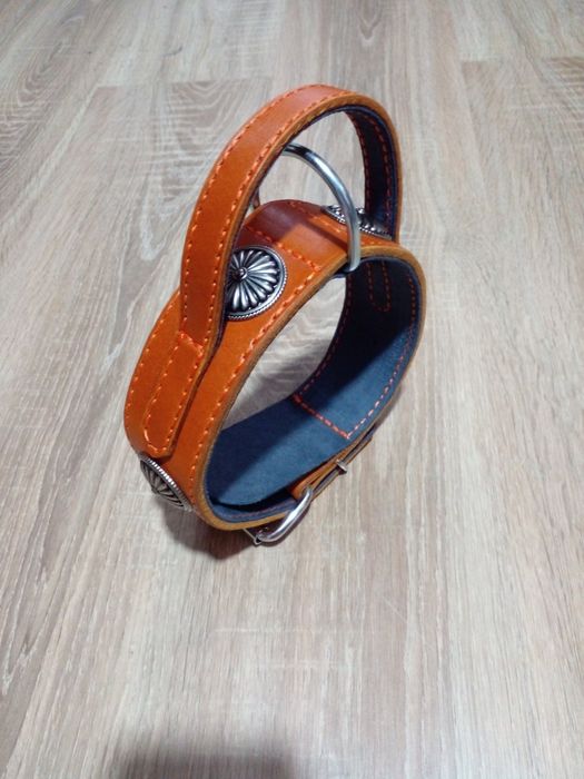 Нашийник на собак