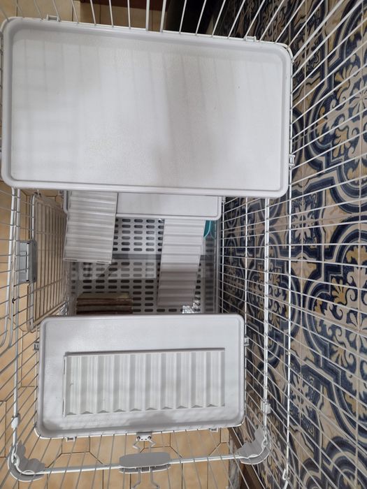 Gaiola grande roedores