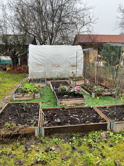 działka ROD Kraków Nowa Huta