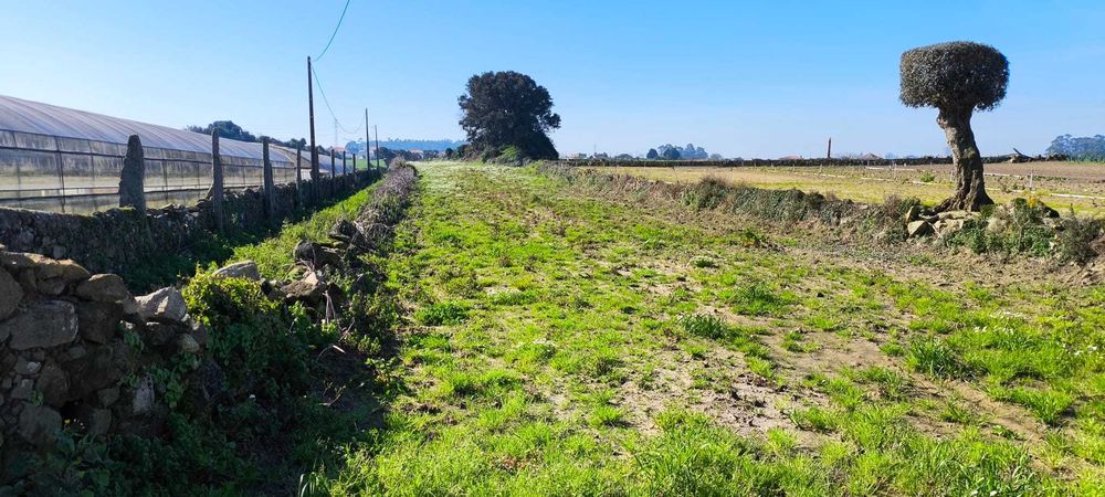 Terreno à venda em Terroso – 2.060 m² com grande potencial!