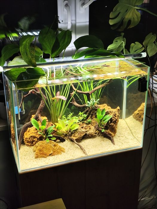 Akwarium 72L z szafką  Aquael zestaw komplet z filtrem