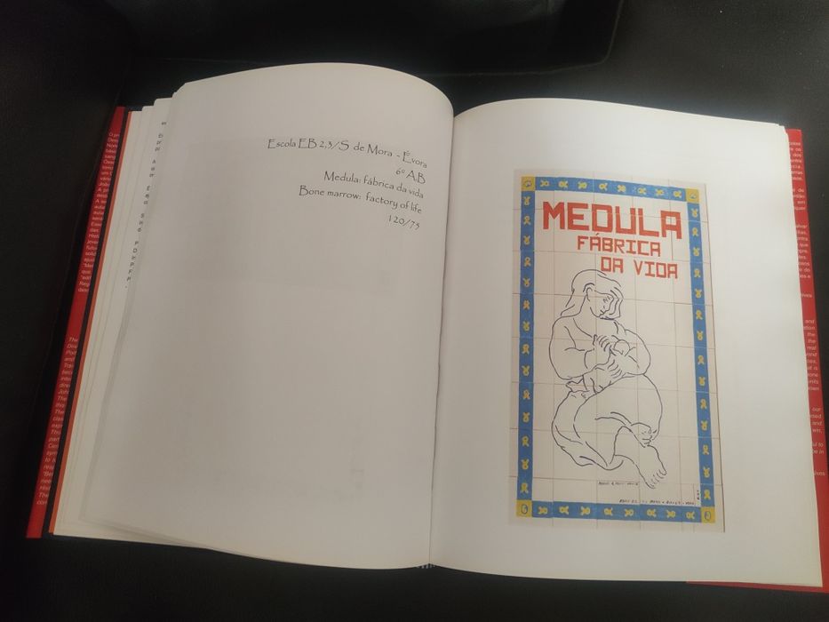 Livro Medula : Fábrica da Vida
