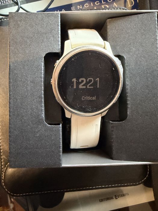Garmin Fenix 6S Branco