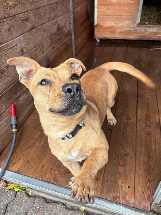 Marzy tylko o jednym – o wolności, miłości i człowieku, który go zrozu