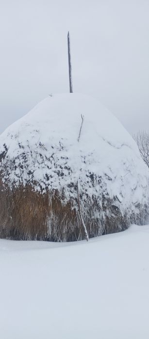 Продається сіно в копиці