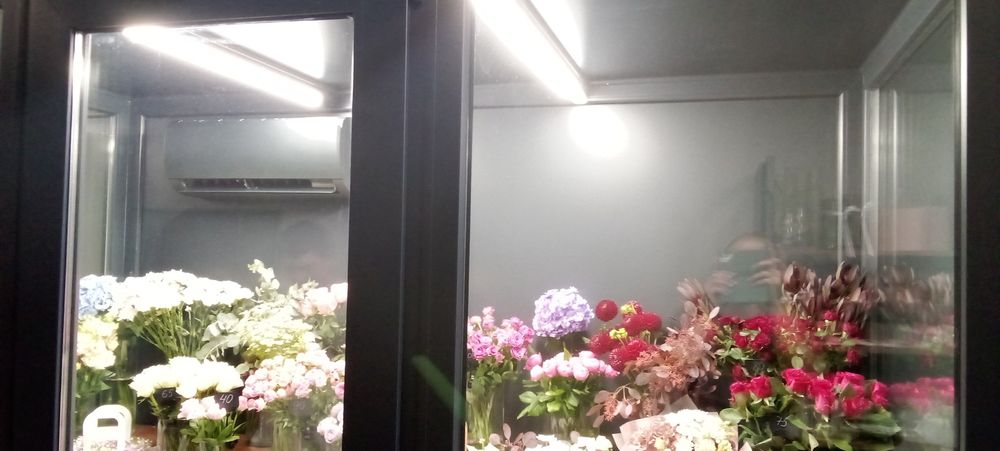Холодильник для квітів,квіткова камера, колдрум!