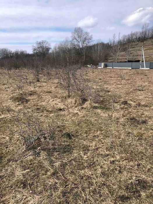 С.Ходосівка, вул.Садова, продаж ділянки 12 сот.