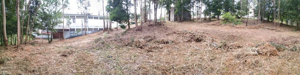 Terreno Rústico Ovar